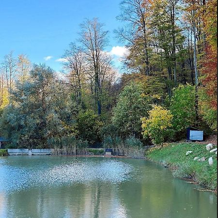 Orlyne Gnizdo Otel Çernivtsi Dış mekan fotoğraf