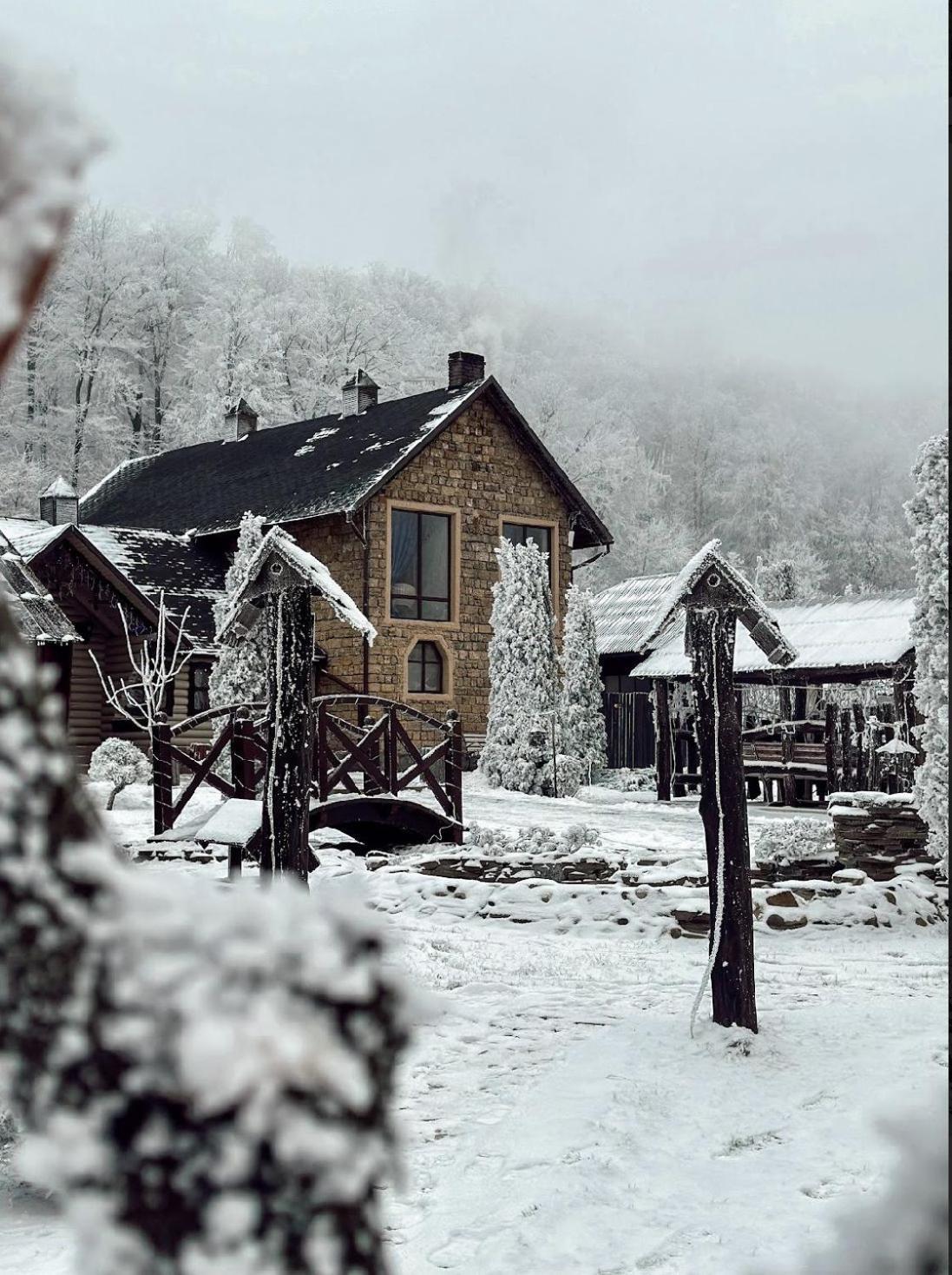 Orlyne Gnizdo Otel Çernivtsi Dış mekan fotoğraf