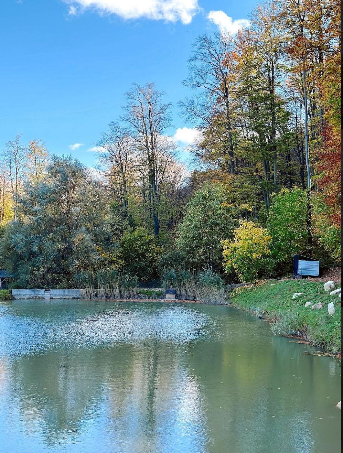 Orlyne Gnizdo Otel Çernivtsi Dış mekan fotoğraf
