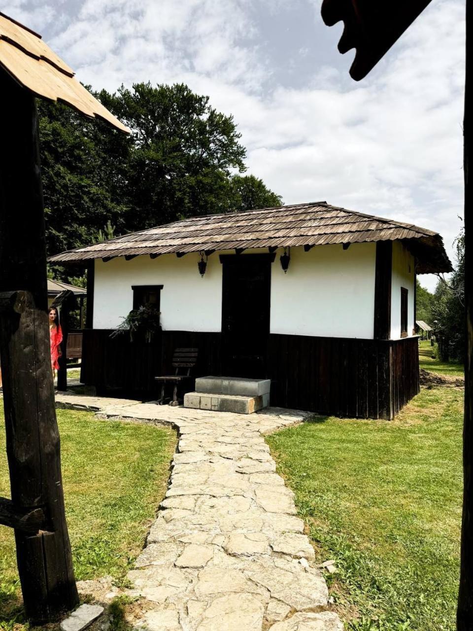Orlyne Gnizdo Otel Çernivtsi Oda fotoğraf